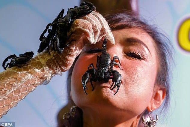 Thailand's scorpion queen loves arachnids