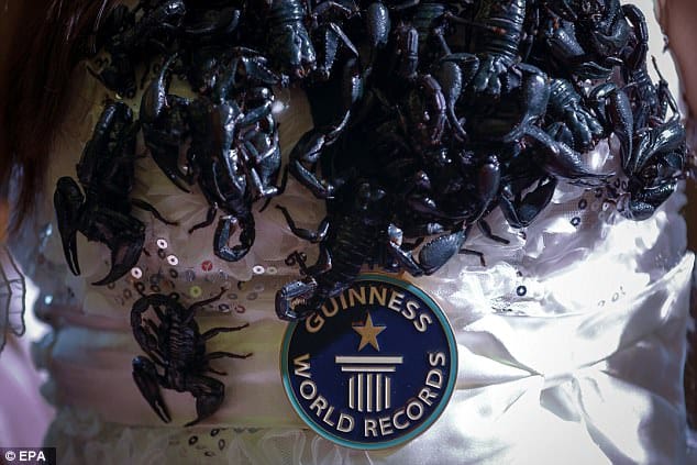 Thailand's scorpion queen loves arachnids