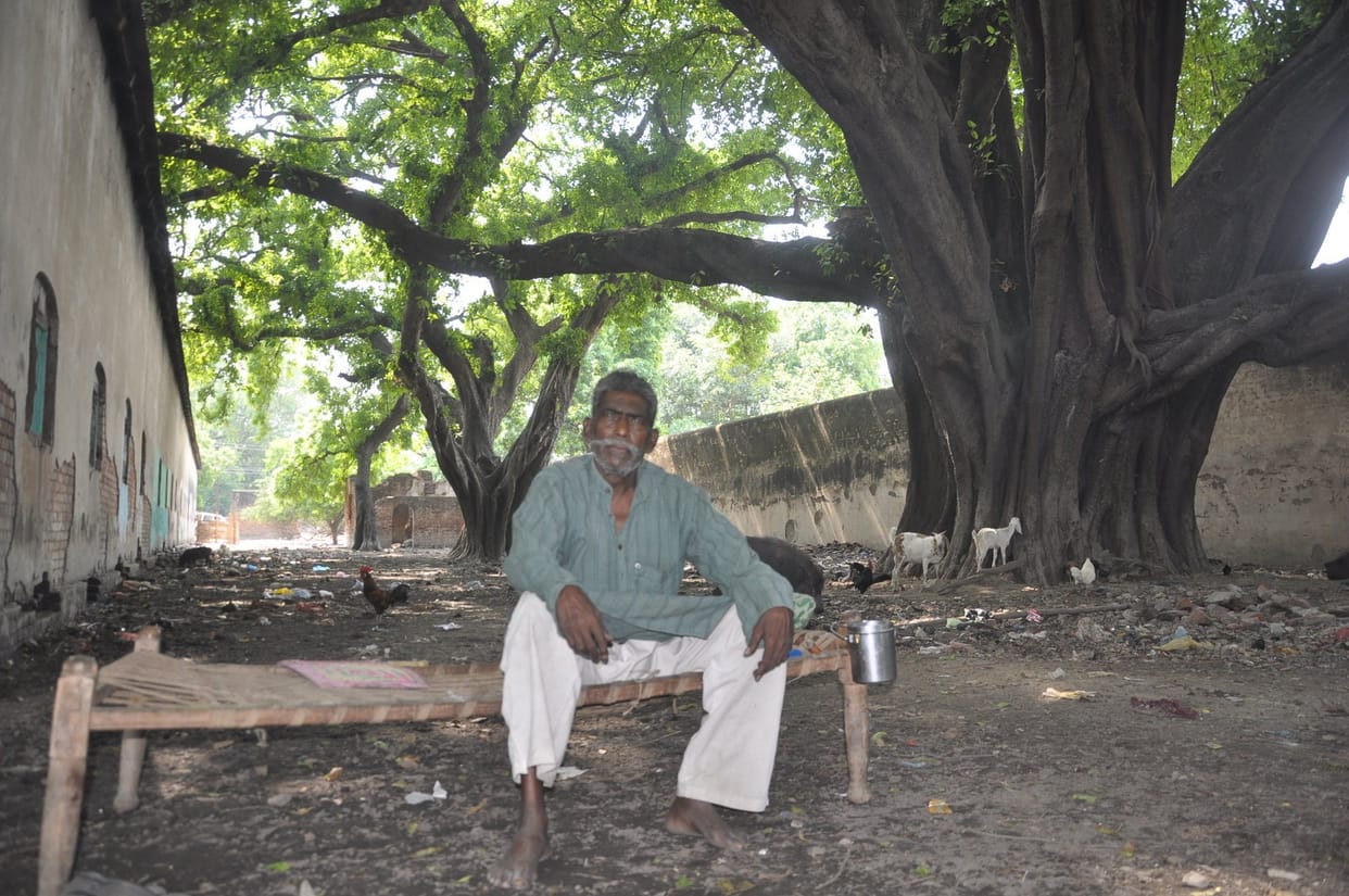 Trees are tied in environmental love