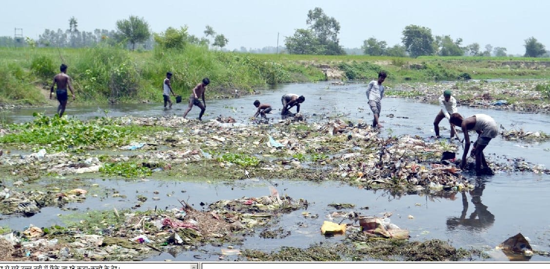 Poisoning of pollution in the district of greenery