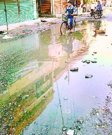 Banyan rain pond in Gautia Ejaz Nagar, danger of diseases