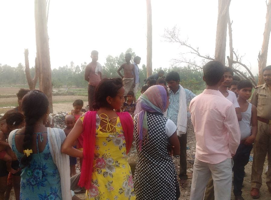 The woman died after pressing the tree fall