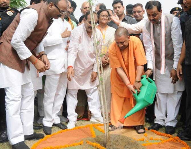 cm adityanath planted parijat plant on world environment day