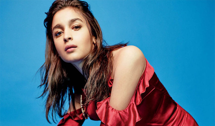 Alia Bhatt To Star In Meghna Gulzar next Film On Kashmir With Vicky Kaushal
