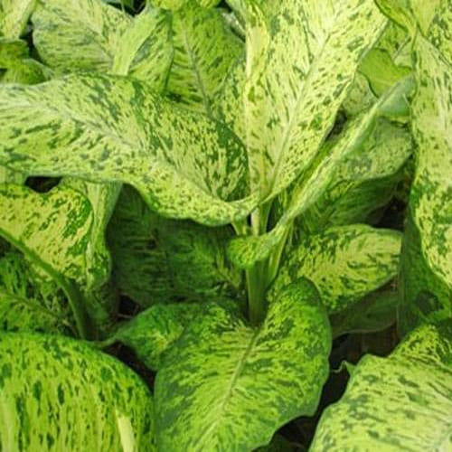 World Environment Day 2017: These things are threat to our environment, try to avoid using them