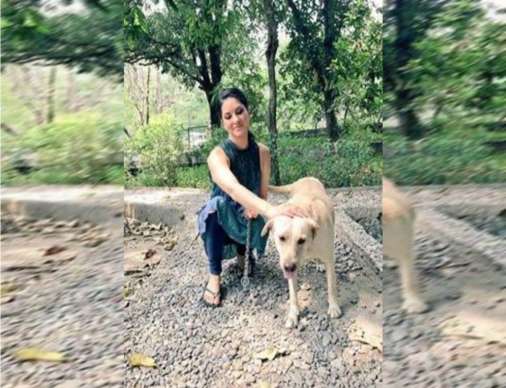 sunny leone makes a new friend bella during mtv roadies shooting