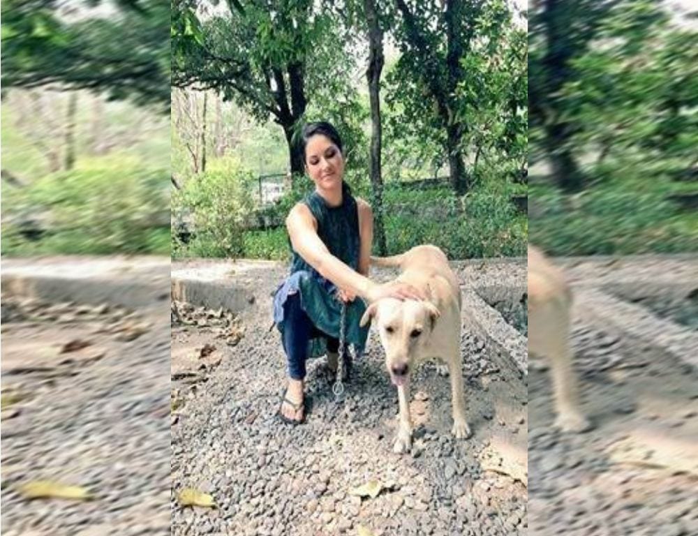 sunny leone makes a new friend bella during mtv roadies shooting