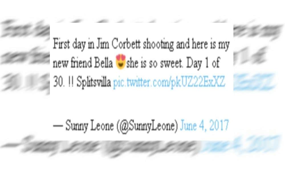 sunny leone makes a new friend bella during mtv roadies shooting