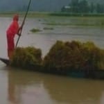 असम में बाढ़