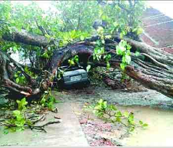 Houses falls to the storm and rain. 16 wounded