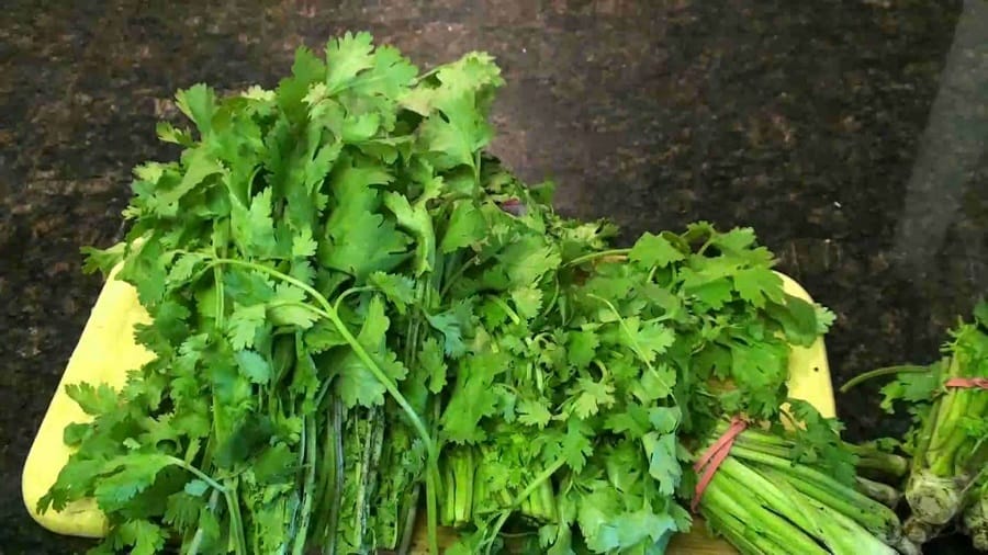 know about body detox drinks