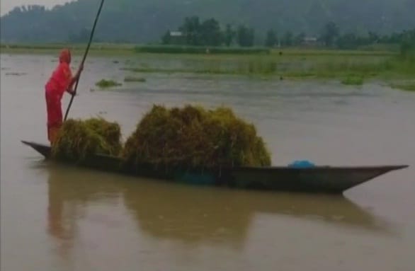 Assam: More than 59,000 people affected due to flood situation in 92 villages