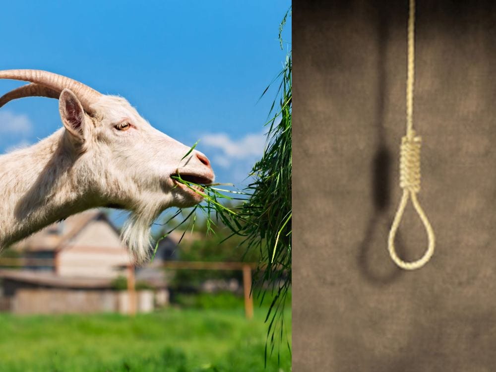 Neighbor hang kid for a mistake in almora