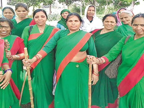 greengang arrive gangrape victim