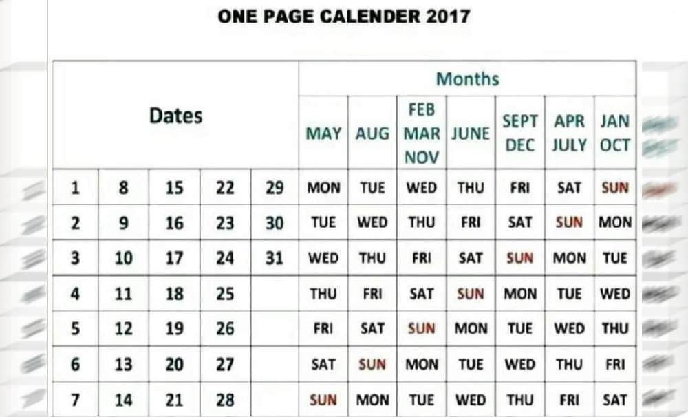 one page calendar Viral on social media 