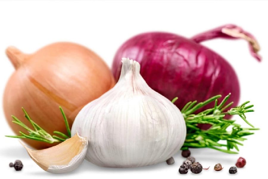 This easy remedy of onion and garlic will make you tension free from the lizards 