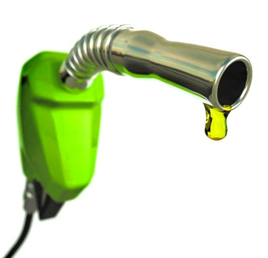 Petrol pumps again Begins