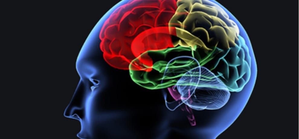 Brain Mapping Machine to tackle criminals Forensic Science Laboratory Junga Himachal Pradesh