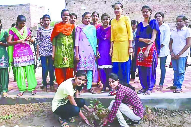 Rally for the protection of the environment, planted plants