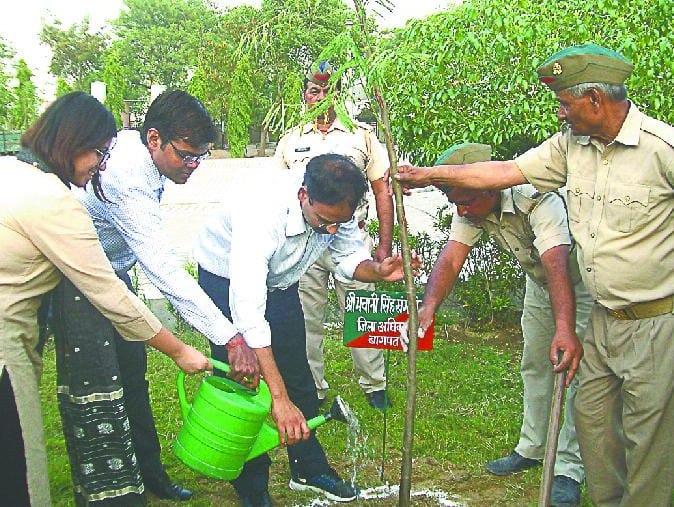 To save the future, understand your responsibility, plant trees.