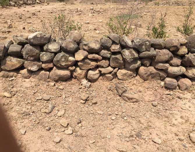 chandigarh village masol found fosils of human being presence