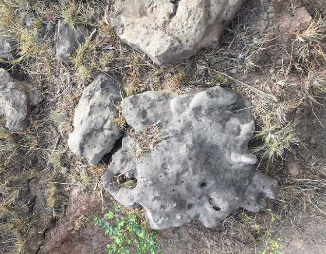 chandigarh village masol found fosils of human being presence