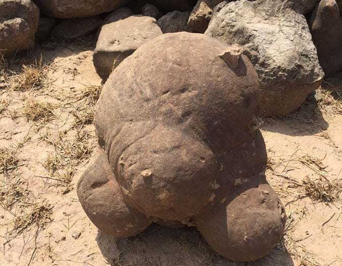 chandigarh village masol found fosils of human being presence