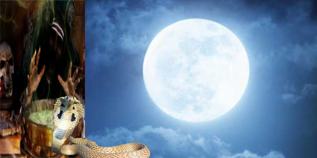woman dead due to snake bite tantric says she will be alive 