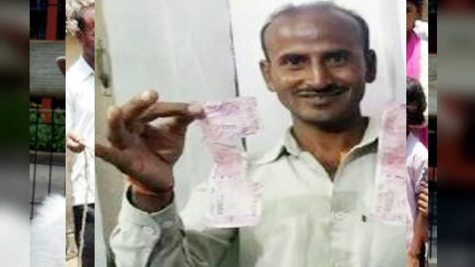 goat eaten 62,000 rupees