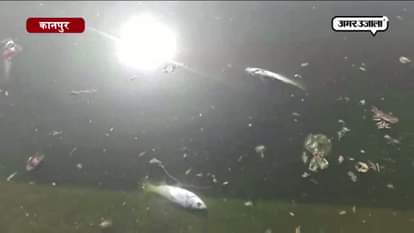 NO ONE TO TAKE CARE OF KANPUR CHAKERI