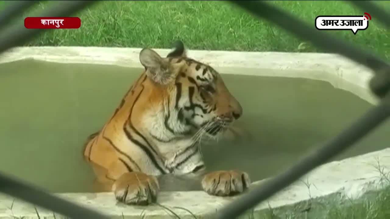 कानपुर