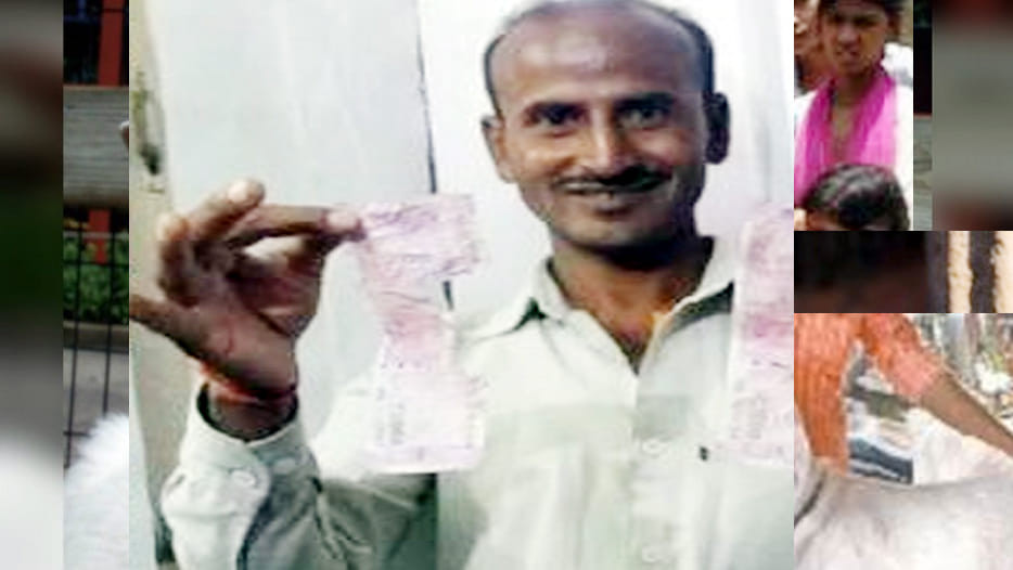 goat eaten 62,000 rupees