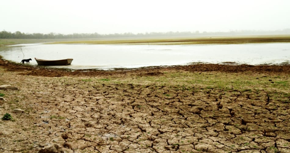 Sukhna Lake dries up, water level shrunk down by 60 percent
