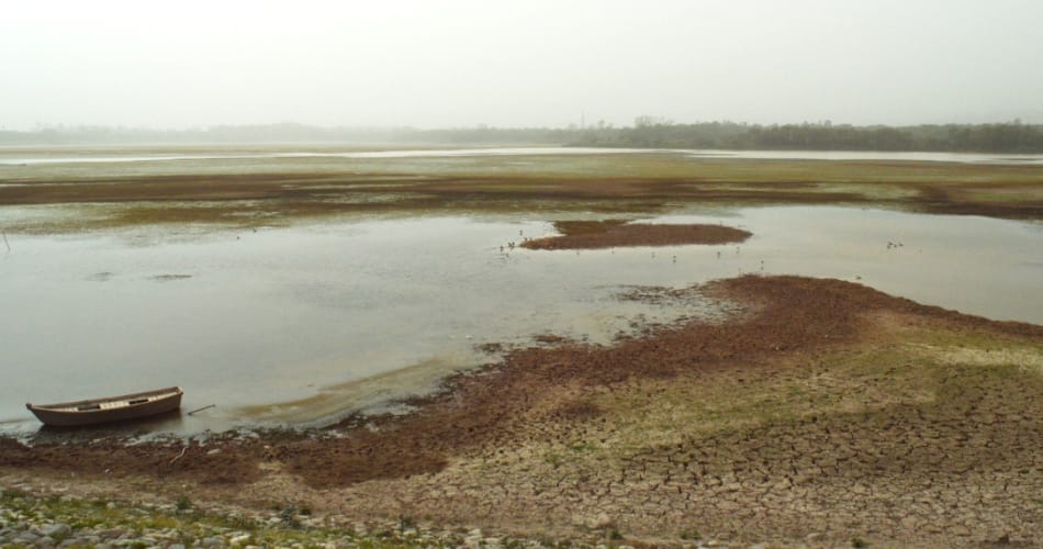 Sukhna Lake dries up, water level shrunk down by 60 percent