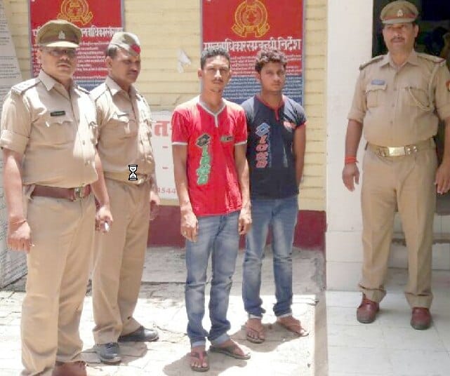 Animals caught truck full of meat, arrested two