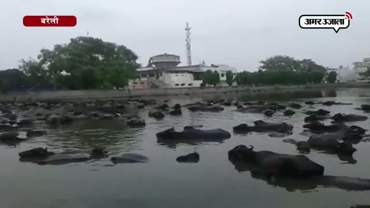 बरेली के तालाब