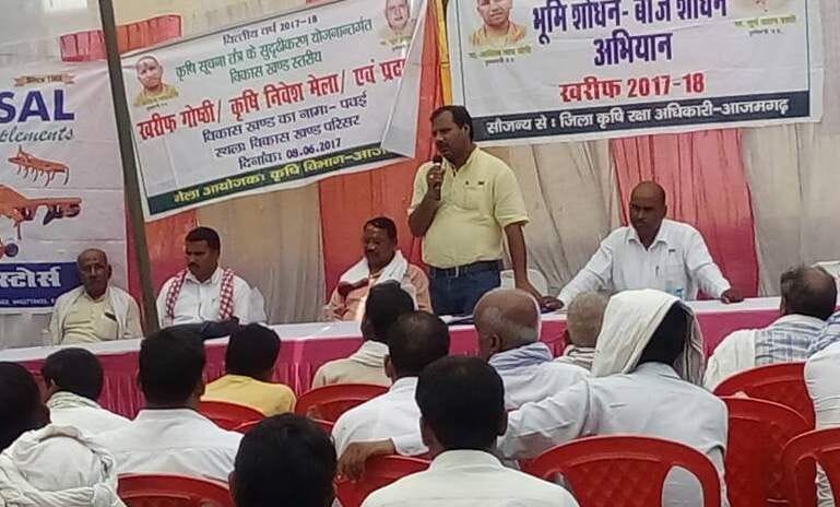 in mid july do plant of paddy 