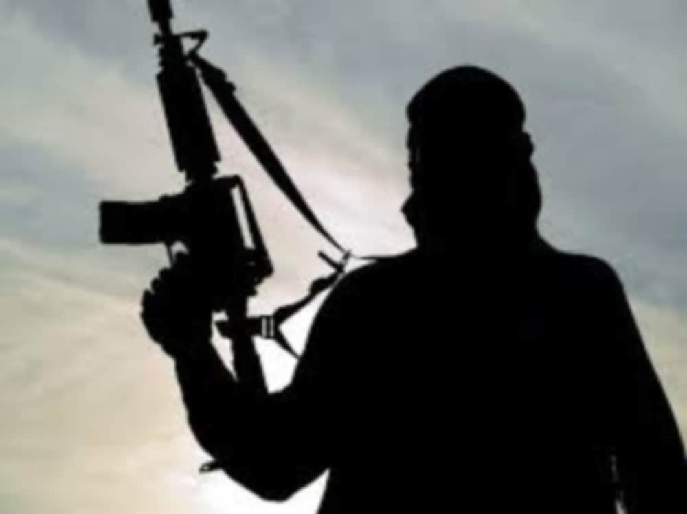 danish story from student to Hizbul Terrorist