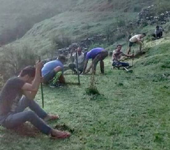  Harihangee daragariya, sparks, jungle forest of bersal