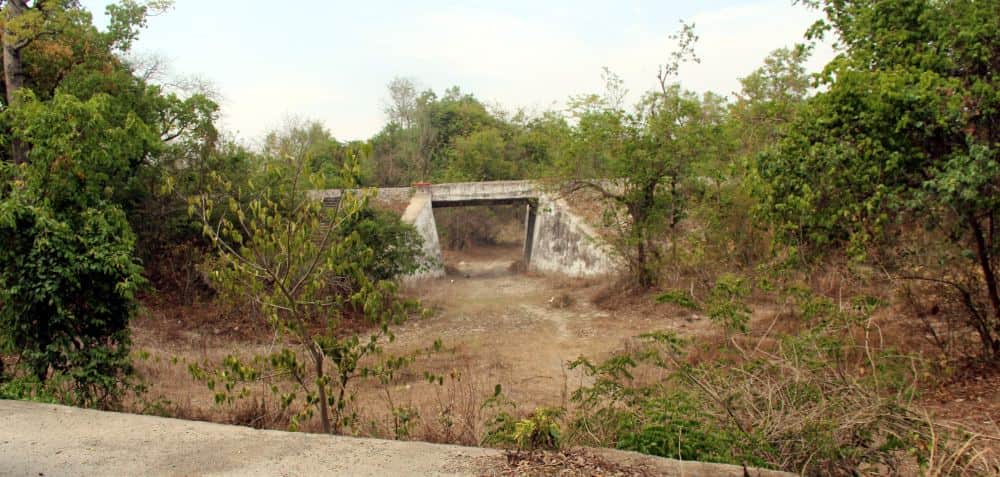 dangerous forest looted water from land