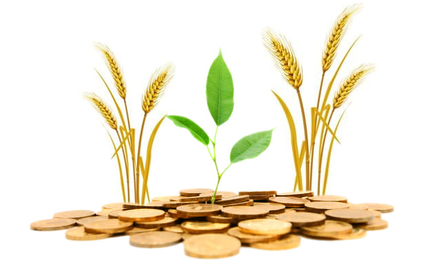 Rajasthan on second place in interest free loan