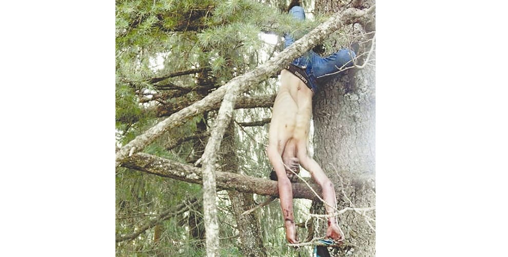 forest guard murder in mandi