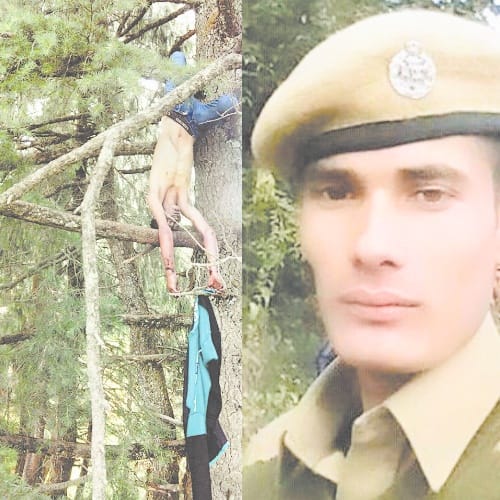 forest guard murder in mandi