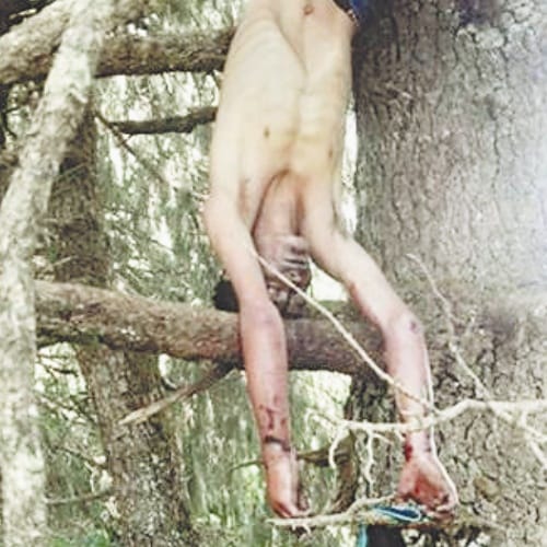 forest guard murder in mandi