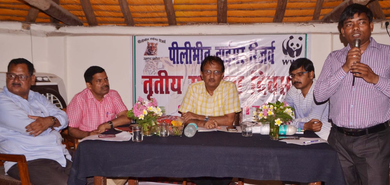 Tiger friends will be kept safe for tigers