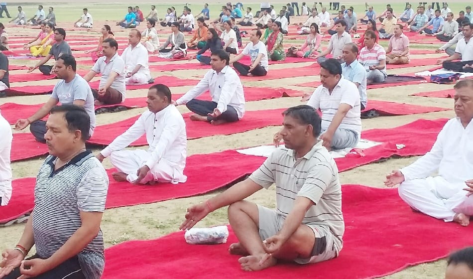 yoga fest celebration on international yoga day 2017 in dehradun