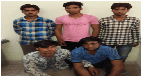 five arrested while planning a robbery in ajmer 