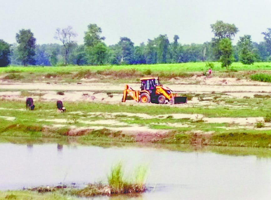 DM gave tender, forest department stopped 