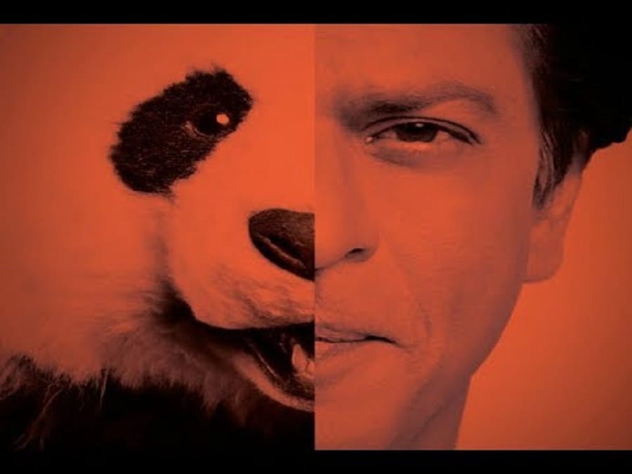 srk aur food panda shah rukh khan in food panda ad makes you laugh 