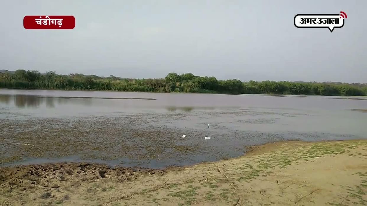 monsoon alert, flood alert, sukhna lake water level